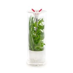 Veritable Conservateur à Herbes Aromatiques En Verre