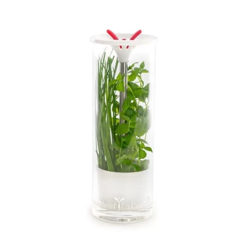 Veritable Conservateur à Herbes Aromatiques En Verre 3 Veritable Conservateur à Herbes Aromatiques En Verre