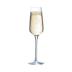 Chef & Sommelier Flûte à Champagne 21cl - Lot De 6 -Maisons Du Monde Boutique flute a champagne 21cl lot de 6 2