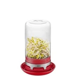 GEFU Mini-serre En Verre Rouge -Maisons Du Monde Boutique mini serre en verre rouge bivita